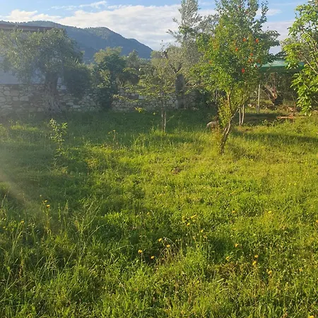 Apartament Jon *